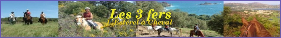 Les 3 fers